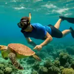 Esperienze di snorkeling nelle acque cristalline: dove vedere la fauna più rara senza rischi