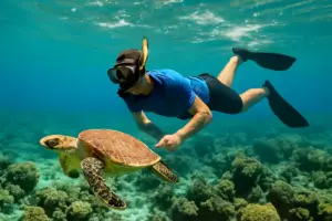 Esperienze di snorkeling nelle acque cristalline: dove vedere la fauna più rara senza rischi